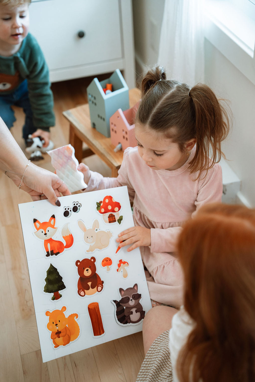 Aimants - Amis de la forêt